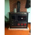 wood stove with heat shield