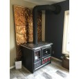 wood stove with heat shield